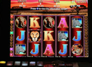 大小单双导师带赚包赔最新版