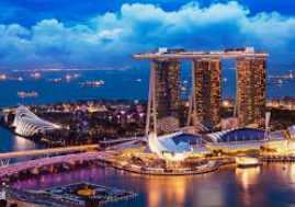 大小单双导师带赚包赔正式版